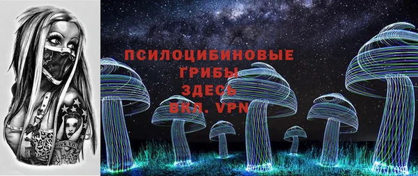 бошки Саяногорск