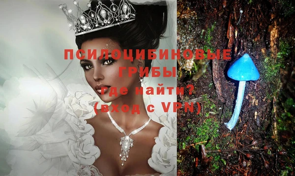 ГАЛЛЮЦИНОГЕННЫЕ ГРИБЫ Сафоново