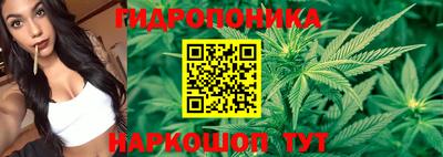 PSILOCYBIN Севастополь